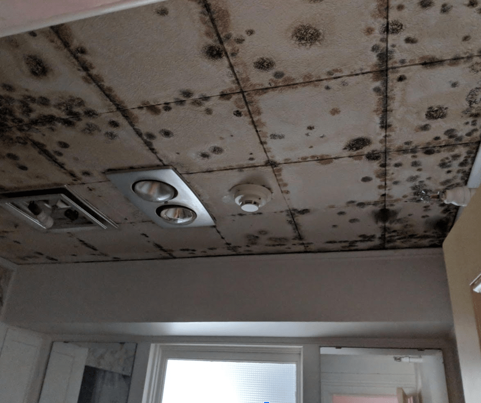 mold-on-ceiling-1-1.png
