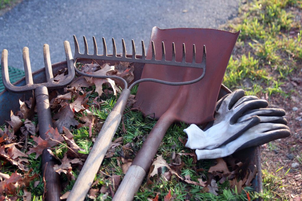 how-to-clean-gardening-tools.jpg