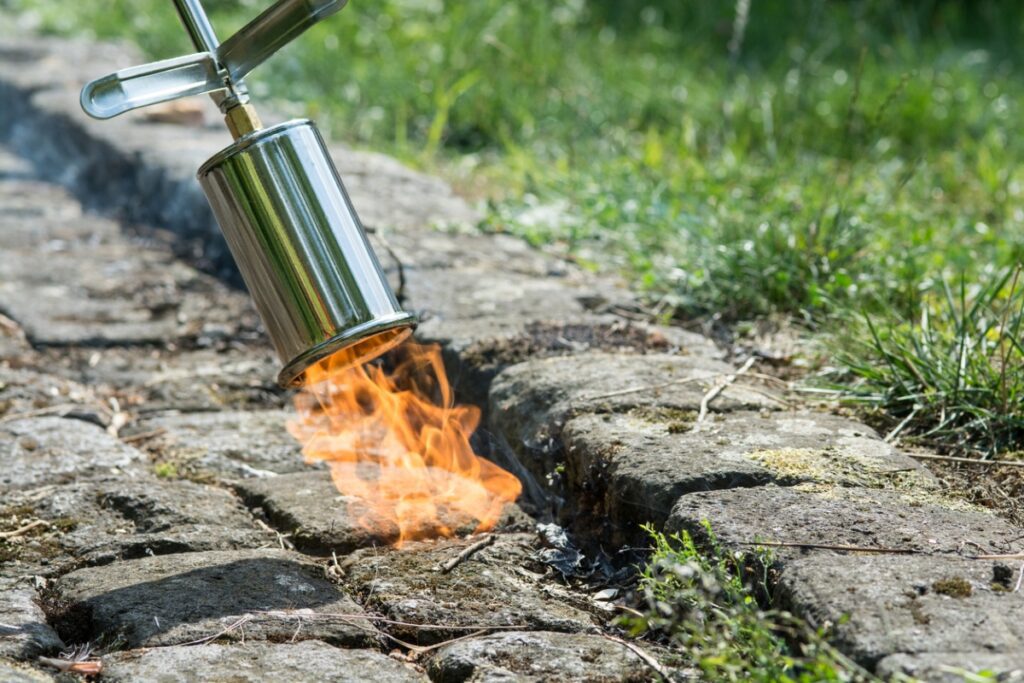iStock-486356688-natural-ways-to-kill-weeds-using-torch-to-kill-weeds.jpg